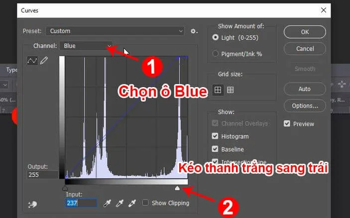 làm trắng da bức ảnh trong phottoshop