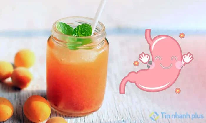 nước mơ tốt cho hệ tiêu hóa