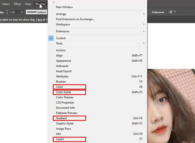 chức năng quan trọng trong inllustrater