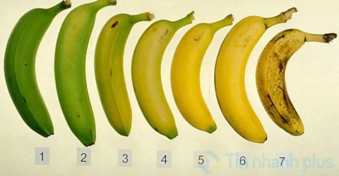 Mẹo ủ chuối nhanh chín