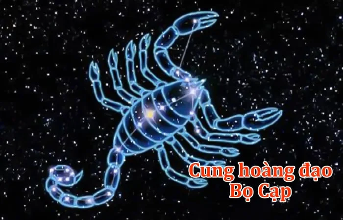 Cung Bọ Cạp hợp với màu gì? Màu sắc may mắn của Bọ Cạp