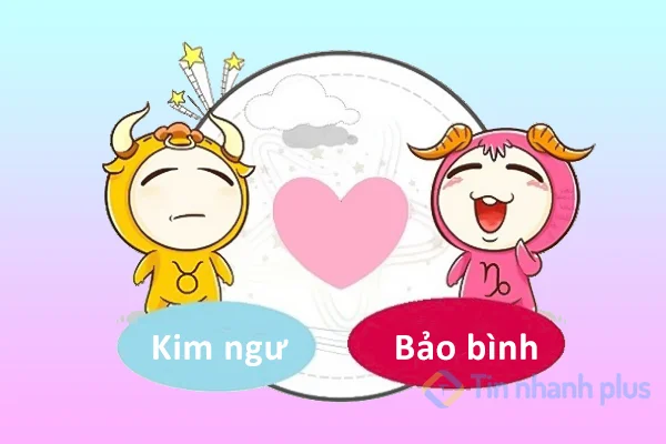 Bảo Bình hợp với cung nào