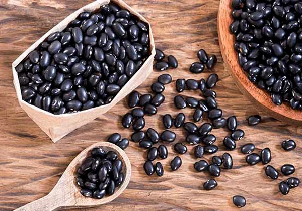 hạt đậu đen