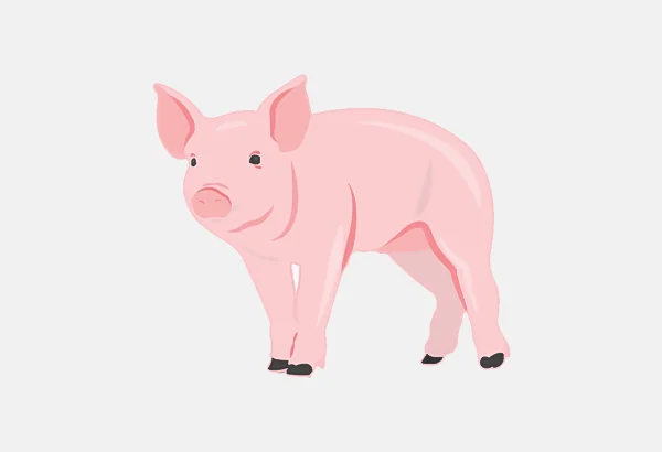 biểu tượng may mắn của đức