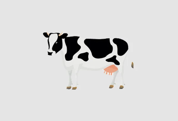 bò là biểu tượng may mắn của người ấn độ