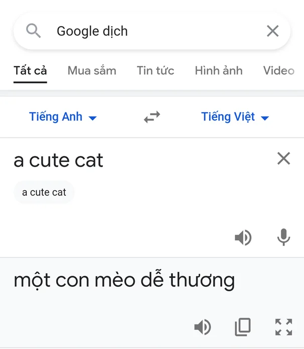 dịch tiếng anh trên điện thoại