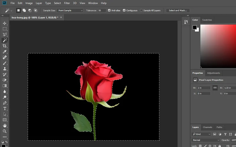 tách nền đen bằng công cụ Magic Wand Tool 