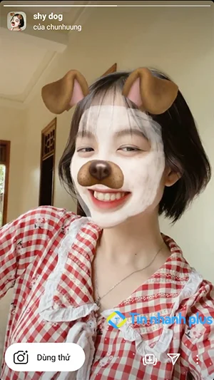 hiệu ứng instagram Shy dog