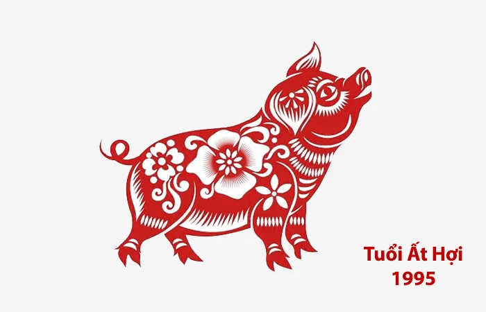 Tuổi Ất Hợi 1995 hợp màu gì? Màu sắc may mắn của Ất Hợi 1995