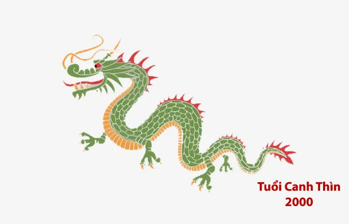 Tuổi Canh Thìn 2000 hợp màu gì? Màu sắc may mắn của tuổi Canh Thìn 2000