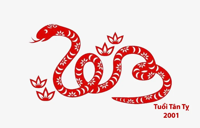 Tuổi Tân Tỵ 2001 hợp màu gì? Màu sắc may mắn của Tân Tỵ 2001