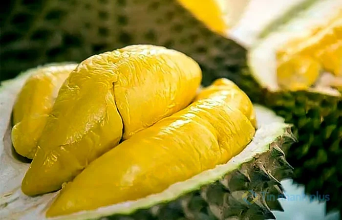 Lỡ bổ sầu riêng chưa chín phải làm sao