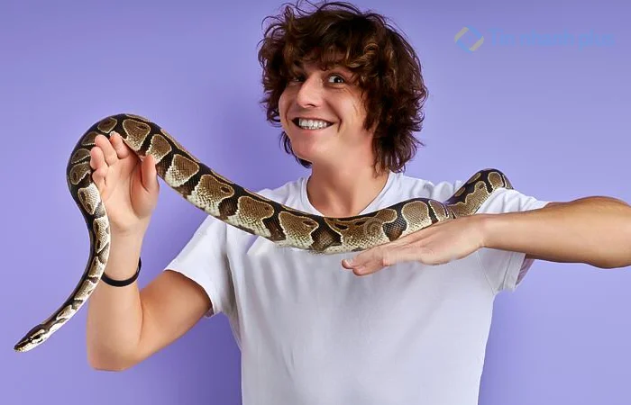 nam sinh năm 2001 có tính cách như thế nào