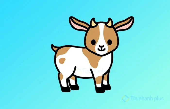 Tuổi Quý Mùi sinh năm 2003 mệnh gì, hợp màu gì, hướng nào tốt?