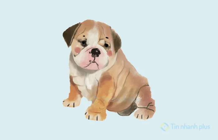 sinh năm 2006 mệnh gì