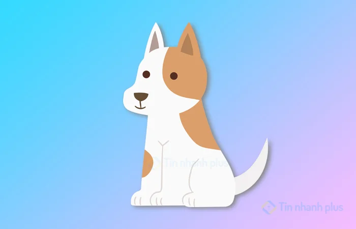 sinh năm 2006 mệnh gì