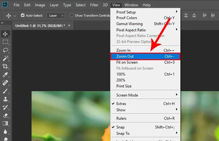 Cách Zoom hình trong Photoshop