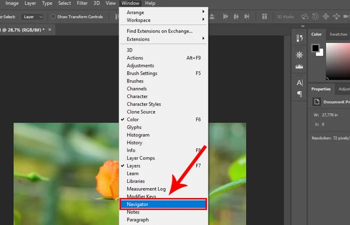 Cách Zoom hình trong Photoshop