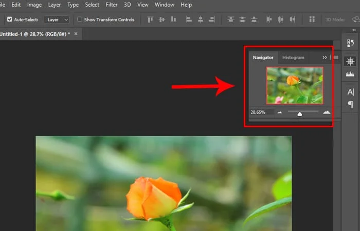 Cách Zoom hình trong Photoshop