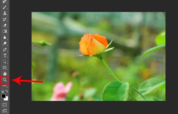 Cách Zoom hình trong Photoshop