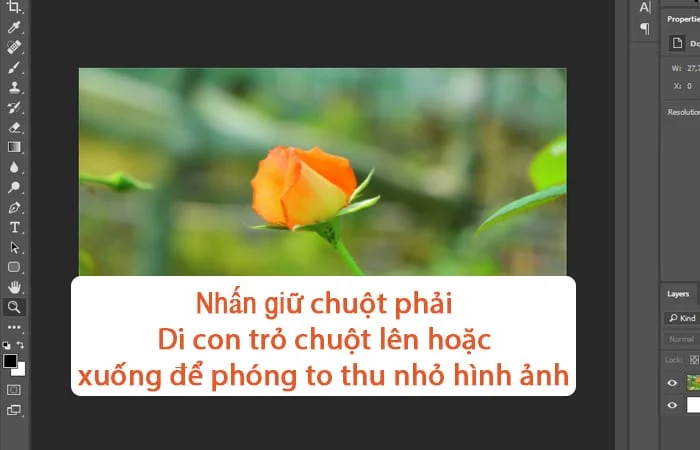 Cách Zoom hình trong Photoshop