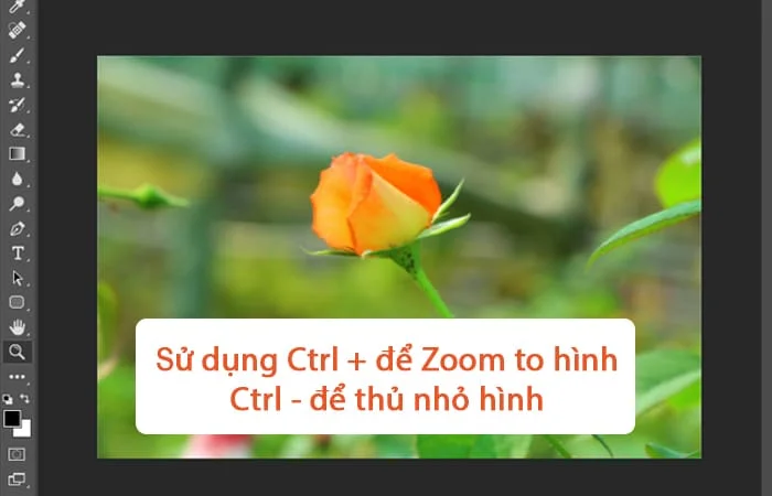 Cách Zoom hình trong Photoshop