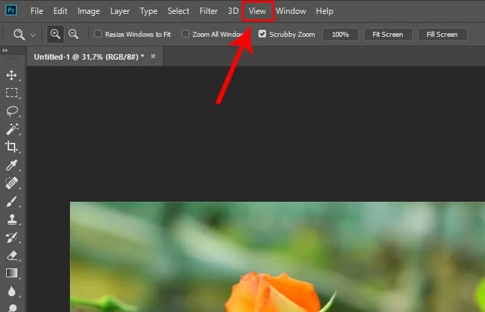 Cách Zoom hình trong Photoshop