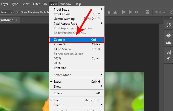 Cách Zoom hình trong Photoshop