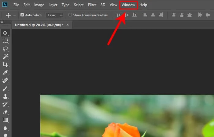 Cách Zoom hình trong Photoshop