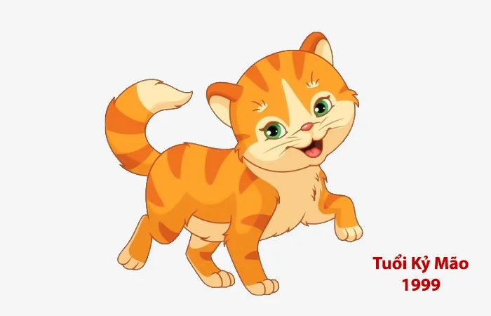 Tuổi Kỷ Mão 1999 hợp màu gì? Màu sắc may mắn của Kỷ Mão 1999