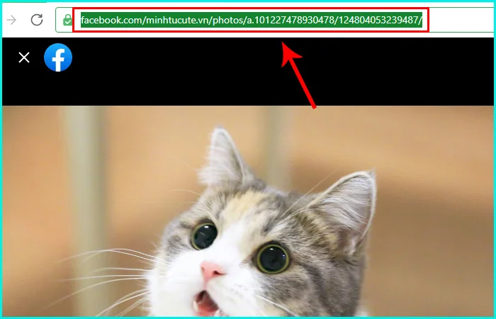 cách chia sẻ bài viết vào nhiều nhóm trên Facebook bằng máy tính