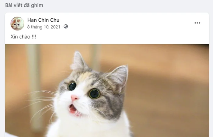 Cách ghim bài viết trên trang cá nhân Facebook đơn giản nhất