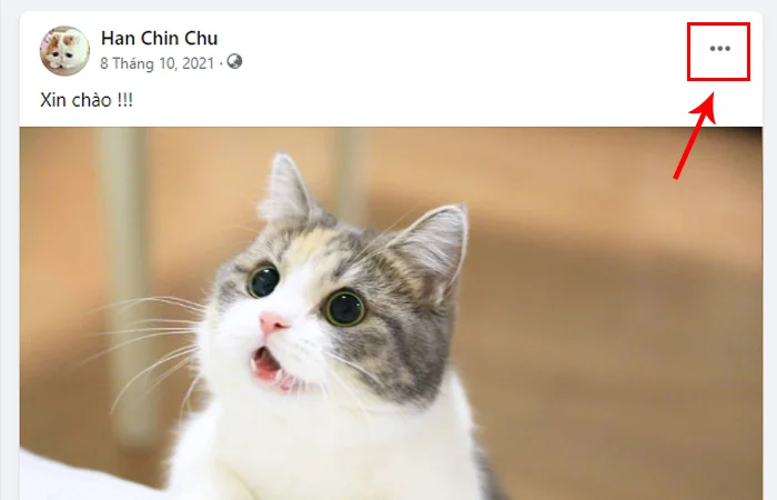 cách ghim bài viết trên trang cá nhân Facebook bằng máy tính