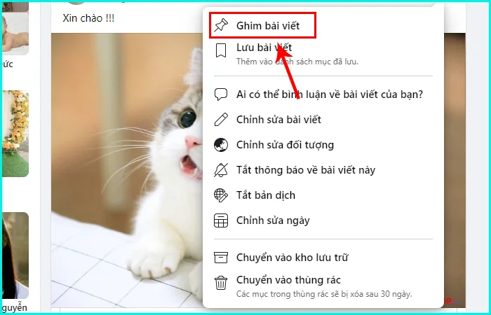 cách ghim bài viết trên trang cá nhân Facebook bằng máy tính