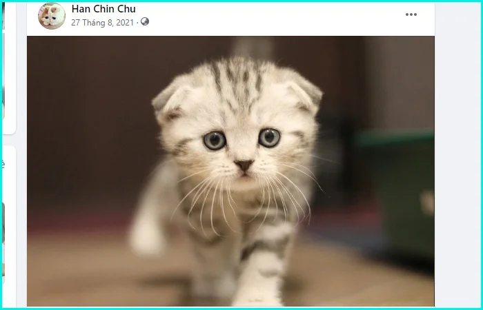 cách lấy id hình ảnh trên facebook