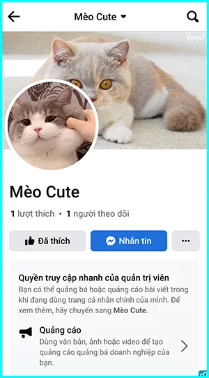 cách tạo nút nhắn tin trên Fanpage facebook bằng điện thoại