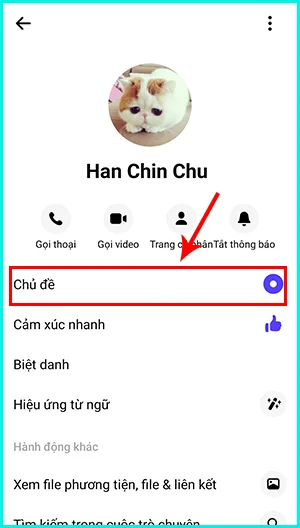 Cách thay đổi chủ đề Messenger đổi màu theo thời gian dựa vào địa điểm