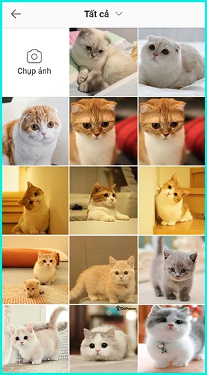 cách thay đổi hình nền zalo