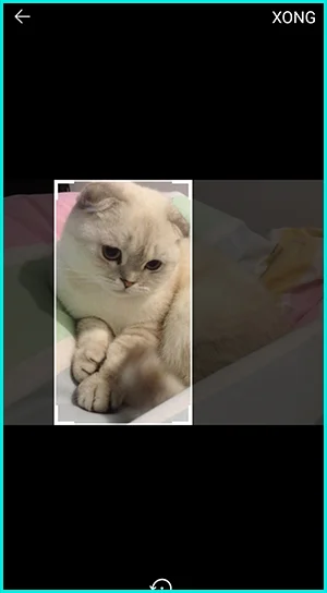 cách thay đổi hình nền zalo