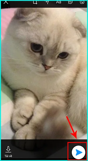 cách thay đổi hình nền zalo