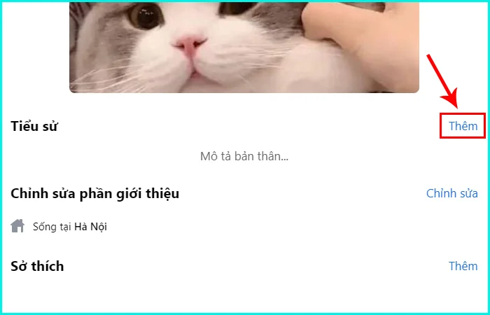 cách thêm tiểu sử trên trang facebook cá nhân bằng máy tính