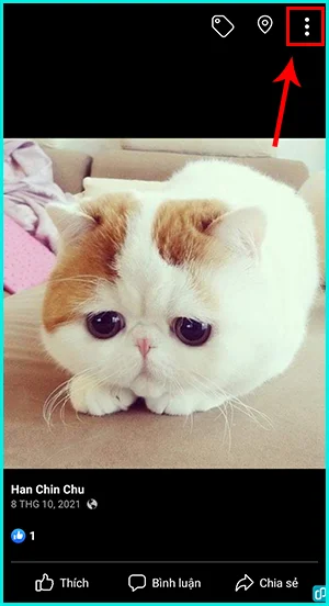 cách xóa ảnh đại diện trên Facebook bằng điện thoại