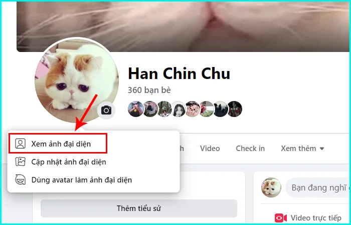 cách xóa ảnh đại diện trên Facebook bằng máy tính