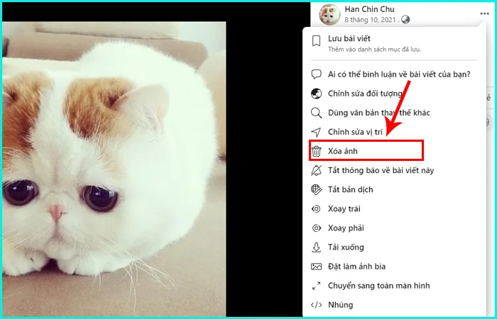 cách xóa ảnh đại diện trên Facebook bằng máy tính