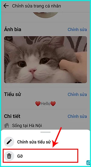 cách xóa tiểu sử trên trang facebook cá nhân bằng điện thoại
