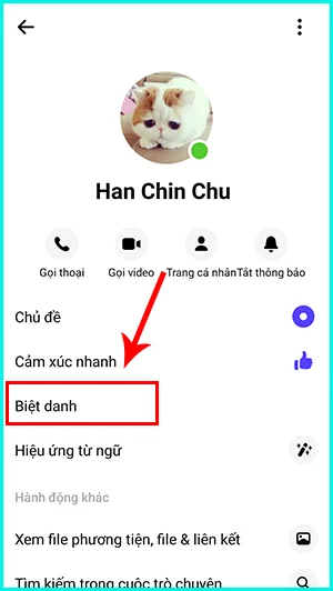 hướng dẫn đặt tên biệt danh messenger bằng điện thoại