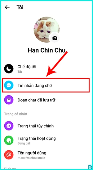 Messenger Online nhưng không nhận được tin nhắn