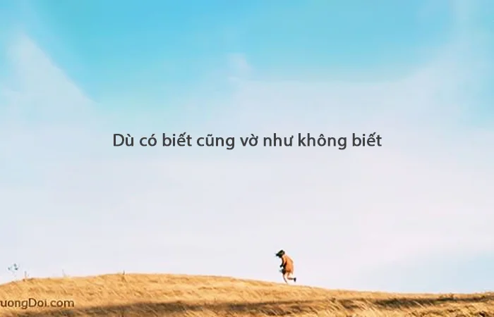 những câu tục ngữ hay của hàn quốc