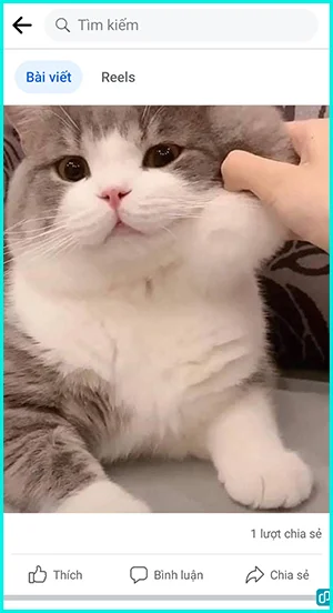 xem ai đã chia sẻ bài viết trên điện thoại