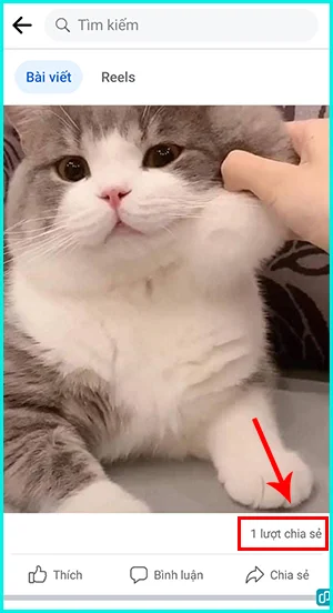 xem ai đã chia sẻ bài viết trên điện thoại